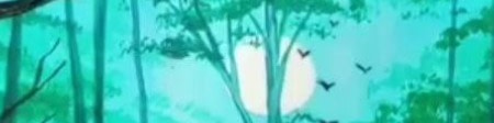 banner picture