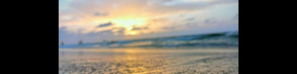banner picture