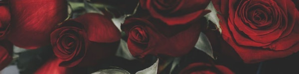 banner picture
