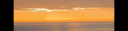 banner picture