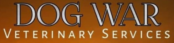 banner picture