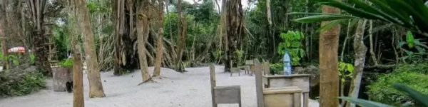 banner picture
