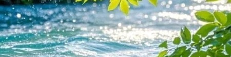banner picture