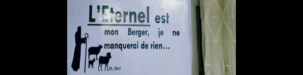 banner picture