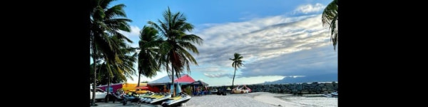 banner picture
