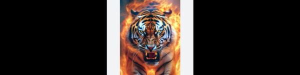 banner picture