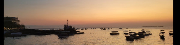 banner picture