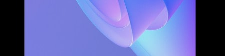 banner picture
