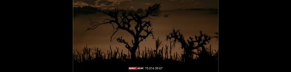 banner picture