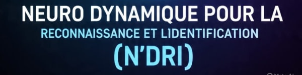 banner picture