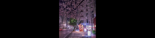 banner picture