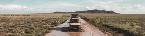 banner picture