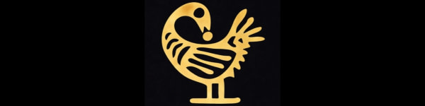 banner picture