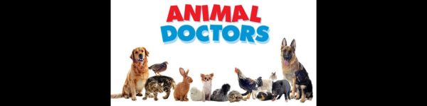 banner picture