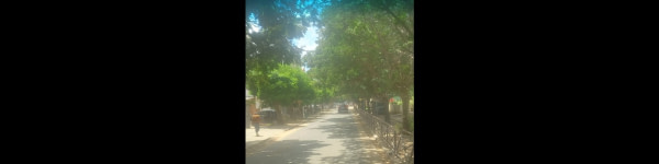 banner picture