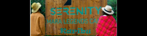 banner picture