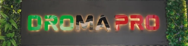 banner picture