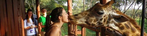 banner picture