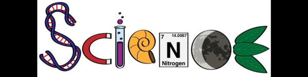 banner picture