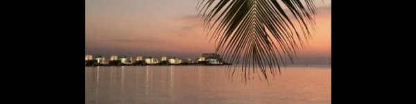 banner picture