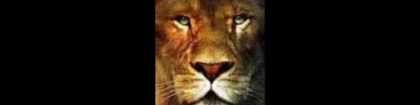 banner picture