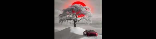banner picture