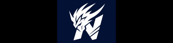 banner picture