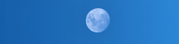banner picture