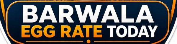 banner picture
