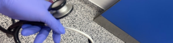 banner picture