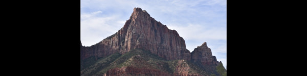 banner picture