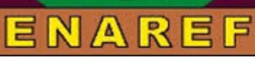 banner picture