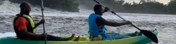 banner picture