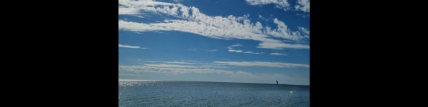 banner picture