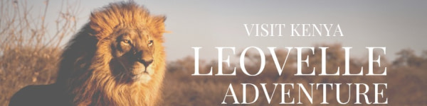 banner picture