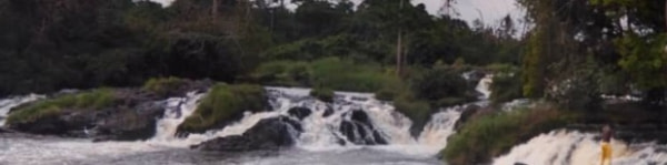 banner picture