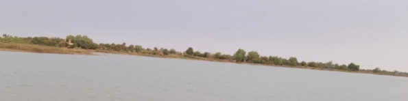 banner picture