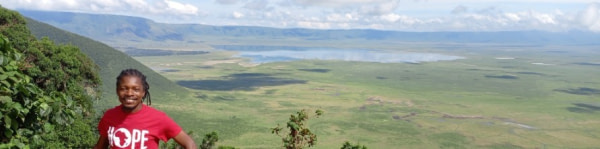 banner picture