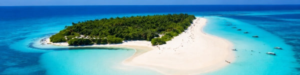 banner picture
