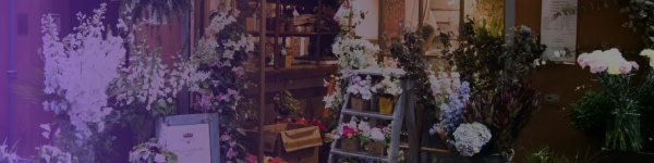 banner picture
