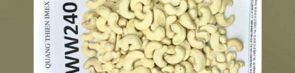 banner picture