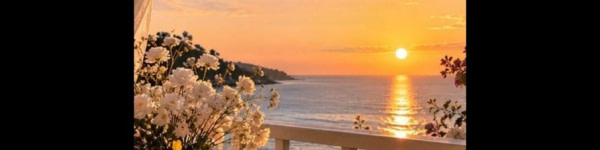 banner picture