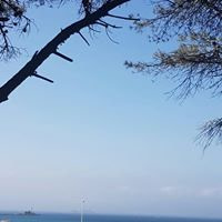 banner picture