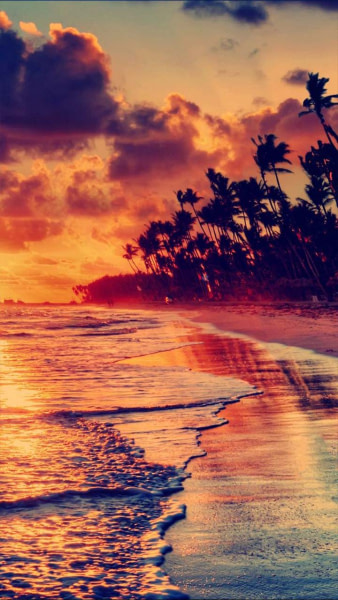 banner picture