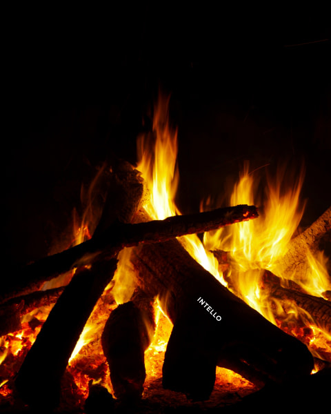 banner picture
