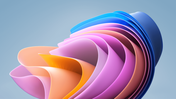 banner picture