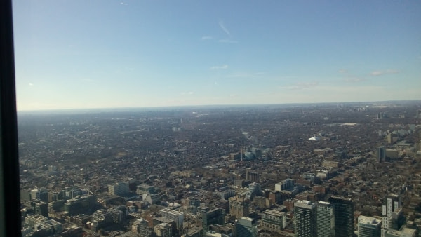 banner picture