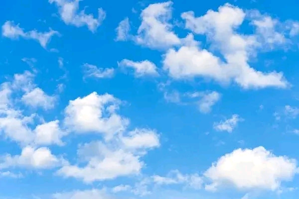 banner picture