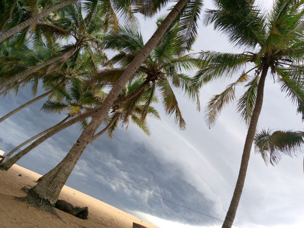 banner picture