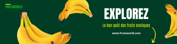 banner picture